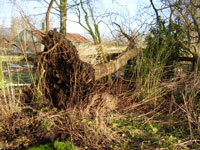 07feb-Storm2