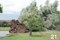 jan-foto21