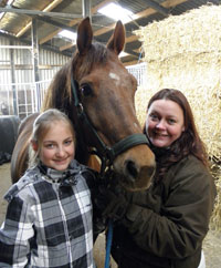mrt-paarden