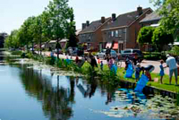jun-Viswedstrijd