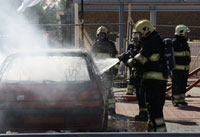 sep-Brand1
