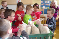 mrt-lammetjes-Milandschool