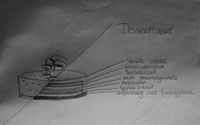 jan-Desserttaart-Esther