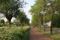 juni-platform