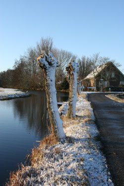 dec Molenweg2