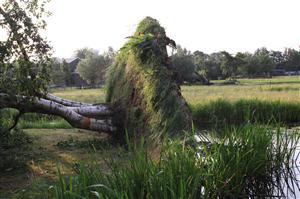 IMG_4644noodweer