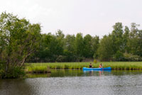 Dauwpeddelen