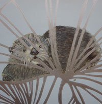 Otteraquarel